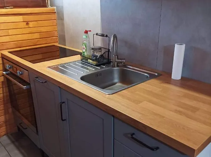 公寓 Planinska Kuca Kata -zabac *