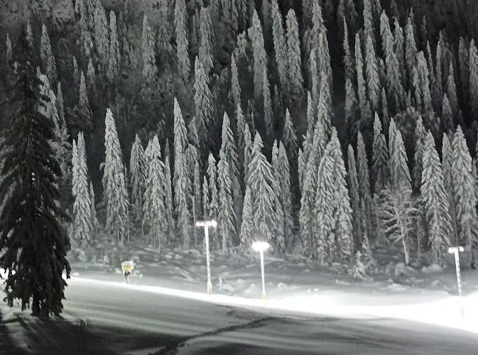 公寓 Planinska Kuca Kata -zabac