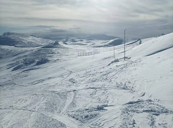 公寓 Planinska Kuca Kata -zabac *