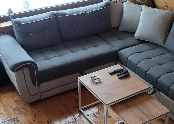 公寓 Planinska Kuca Kata -zabac *